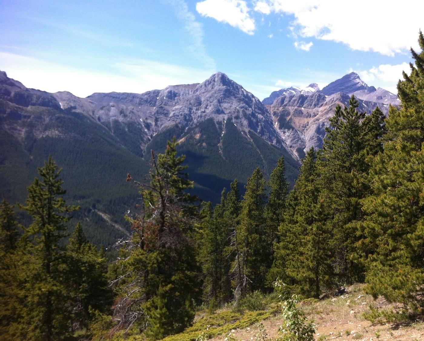 Rocky Mountain survey terrain, Alberta